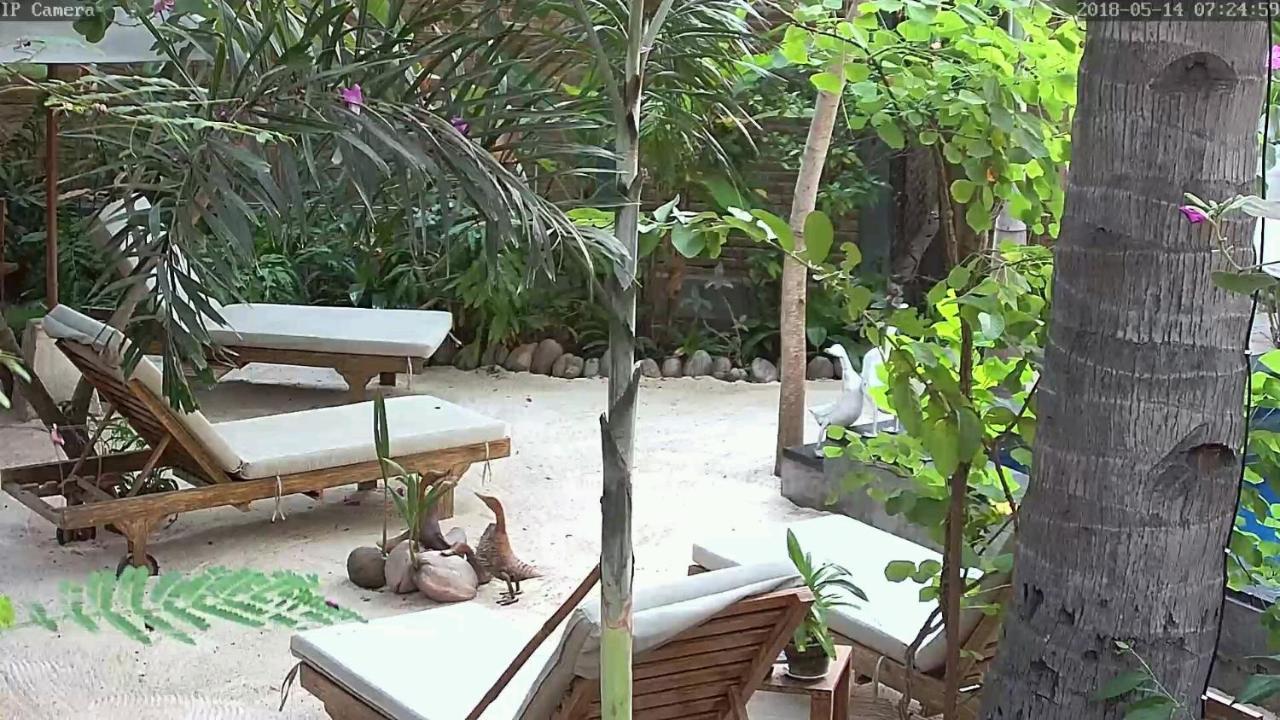 Villas Light House - Eco-Traditional Joglo Gili Trawangan Bagian luar foto