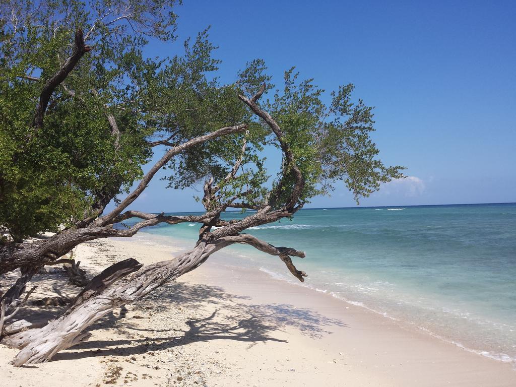 Villas Light House - Eco-Traditional Joglo Gili Trawangan Bagian luar foto
