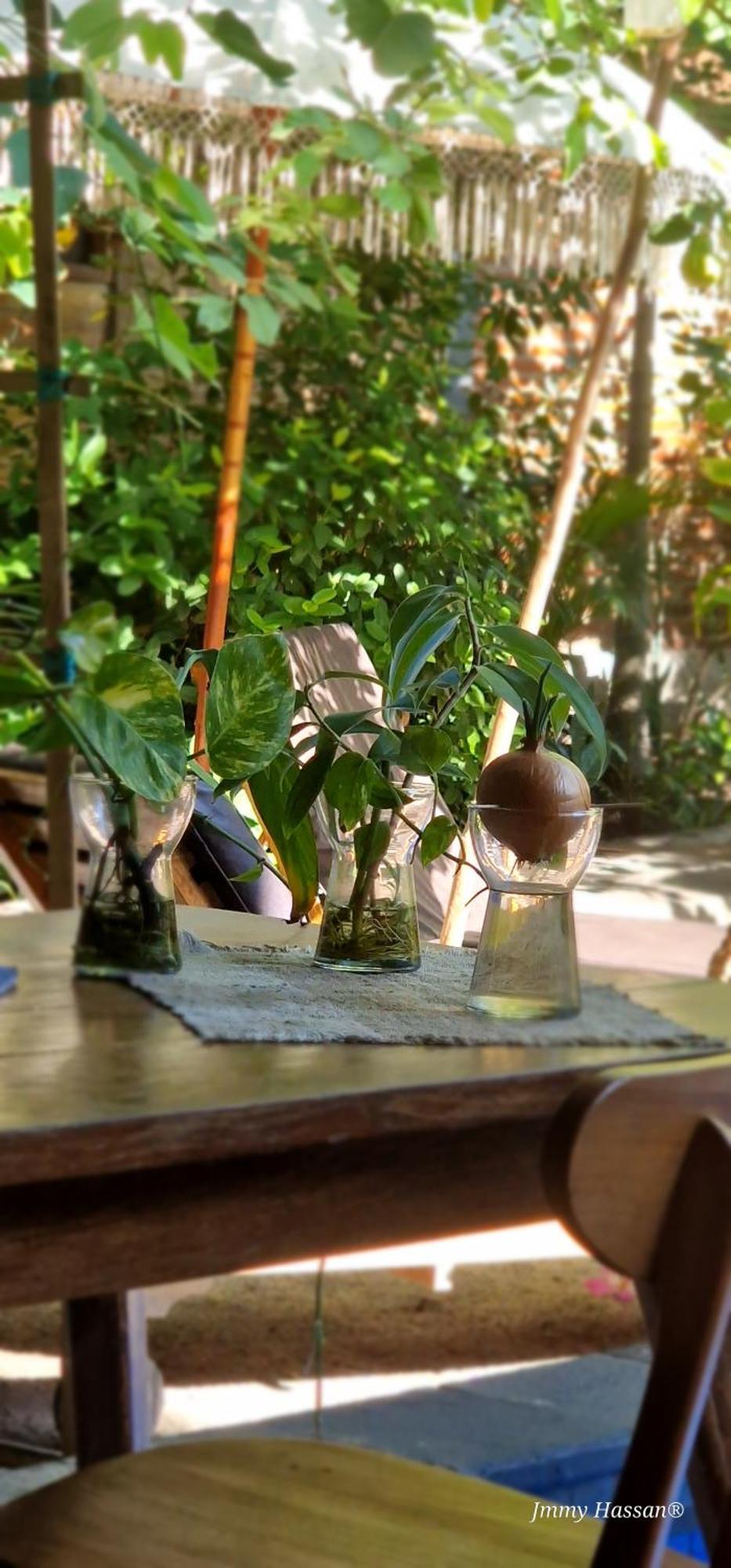 Villas Light House - Eco-Traditional Joglo Gili Trawangan Bagian luar foto
