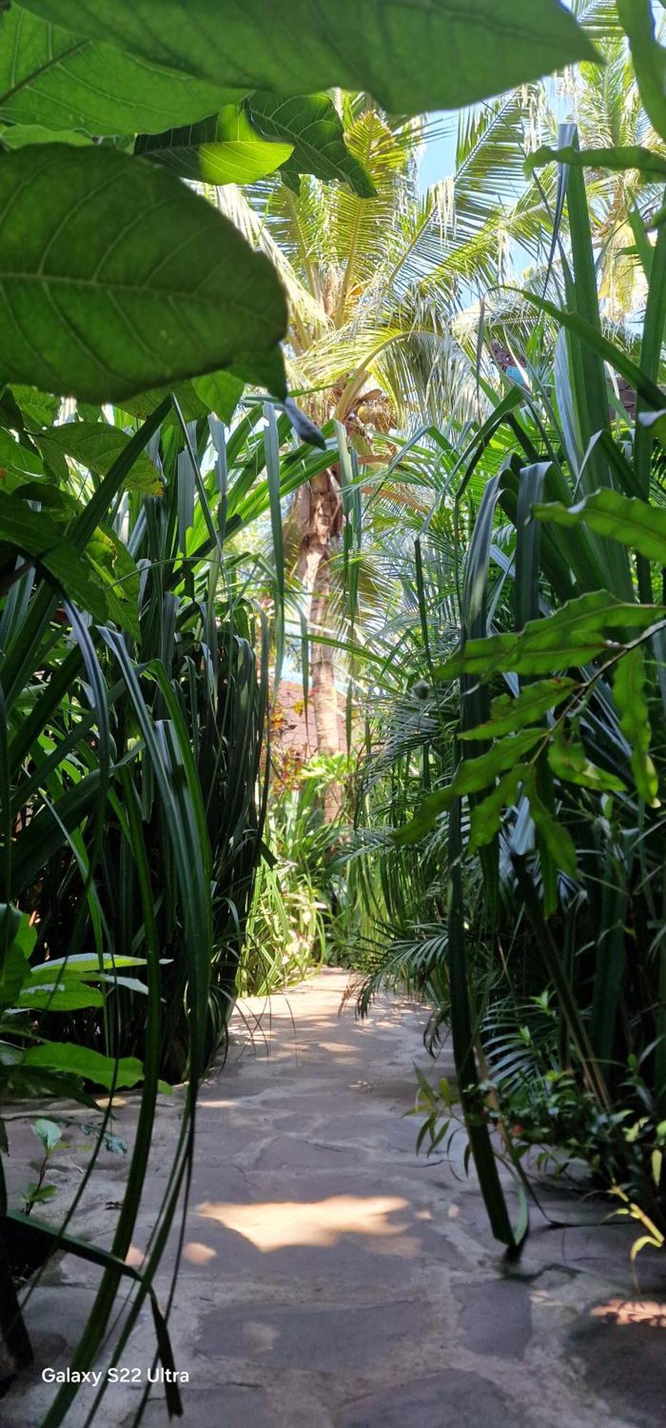 Villas Light House - Eco-Traditional Joglo Gili Trawangan Bagian luar foto